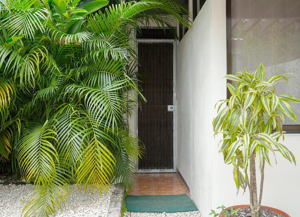 Apartamentos Y Studios Brisas Del Mar Santa Teresa Playa Santa Teresa  Buitenkant foto