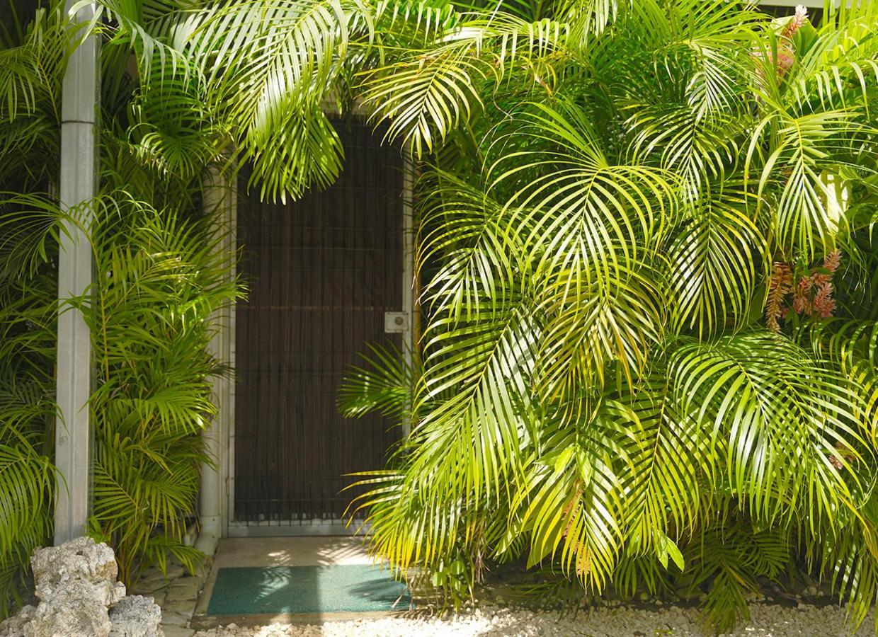 Apartamentos Y Studios Brisas Del Mar Santa Teresa Playa Santa Teresa  Buitenkant foto